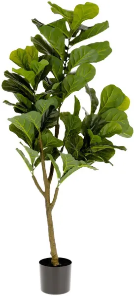 Ficus, Konstgjord växt, grön/svart, H150x60x60 cm